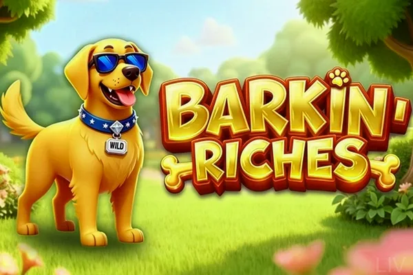 Barkin Riches